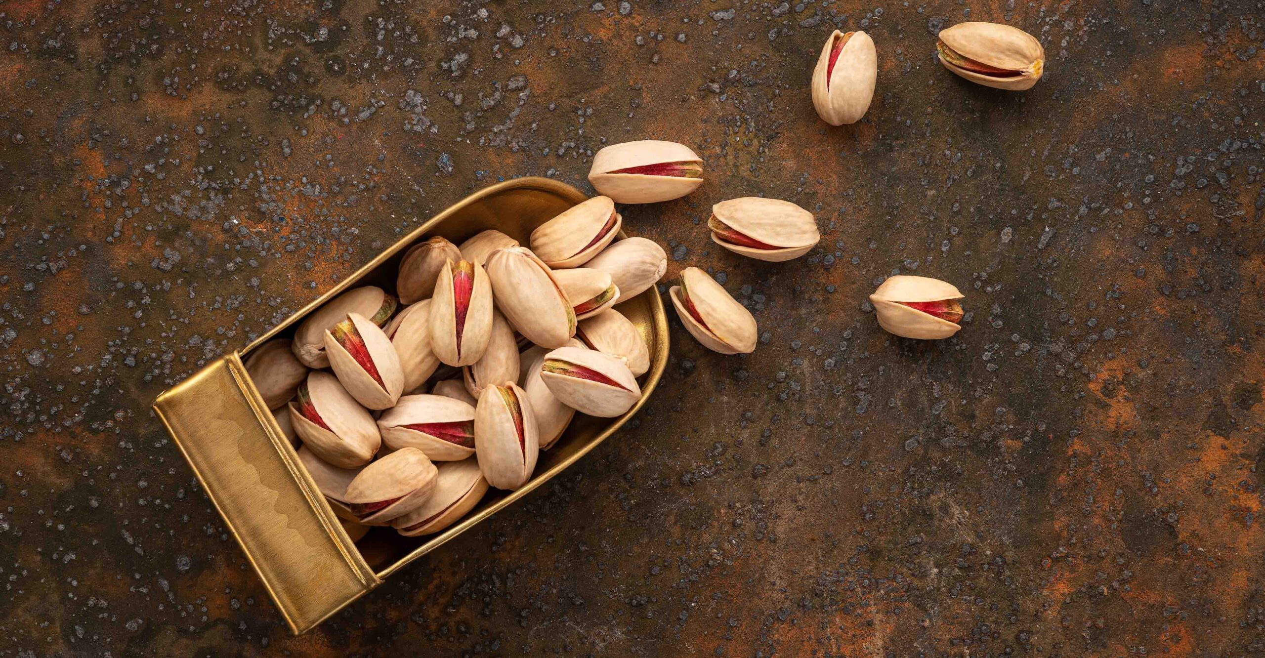 کوروش توحیدزاده